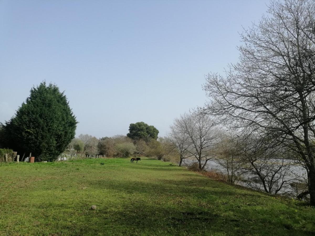 Royalheronhouse Viana do Castelo Exterior photo
